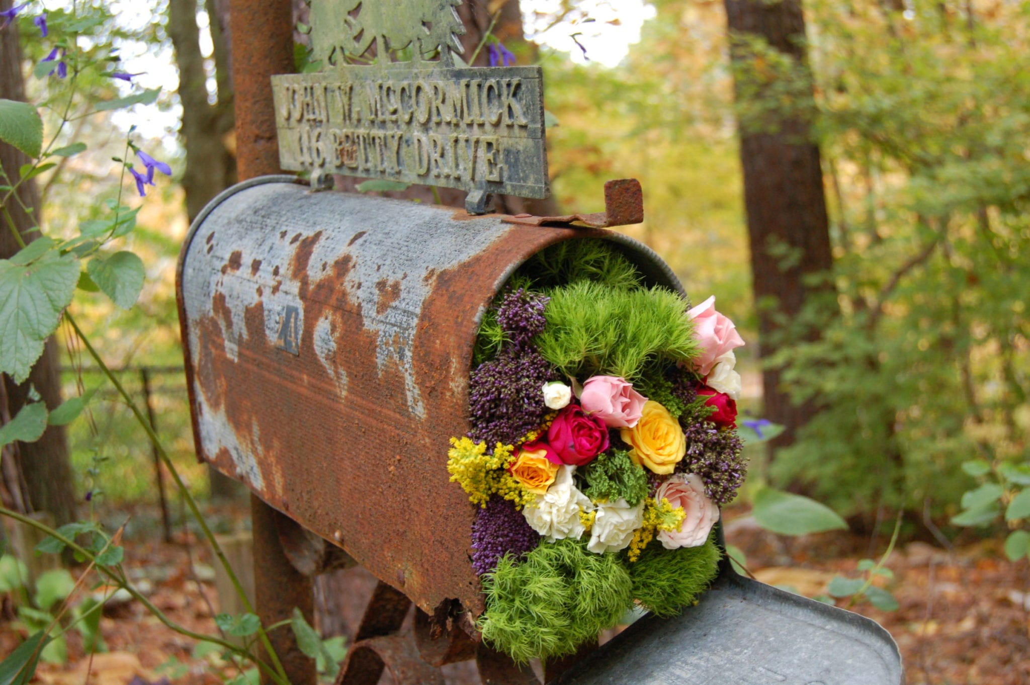 Fall and Winter Wedding Ideas