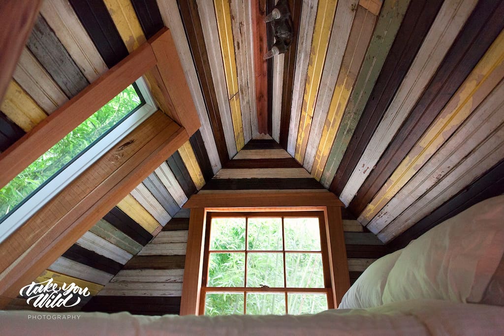 Discover the Bamboo Forest Tree House